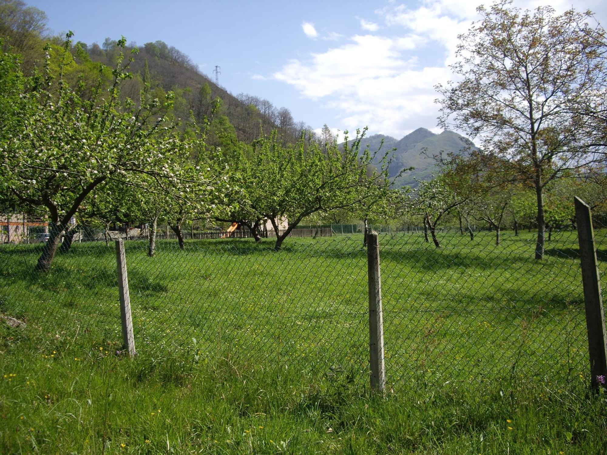 Casa Rural El Canton Cangas de Onis Exterior photo