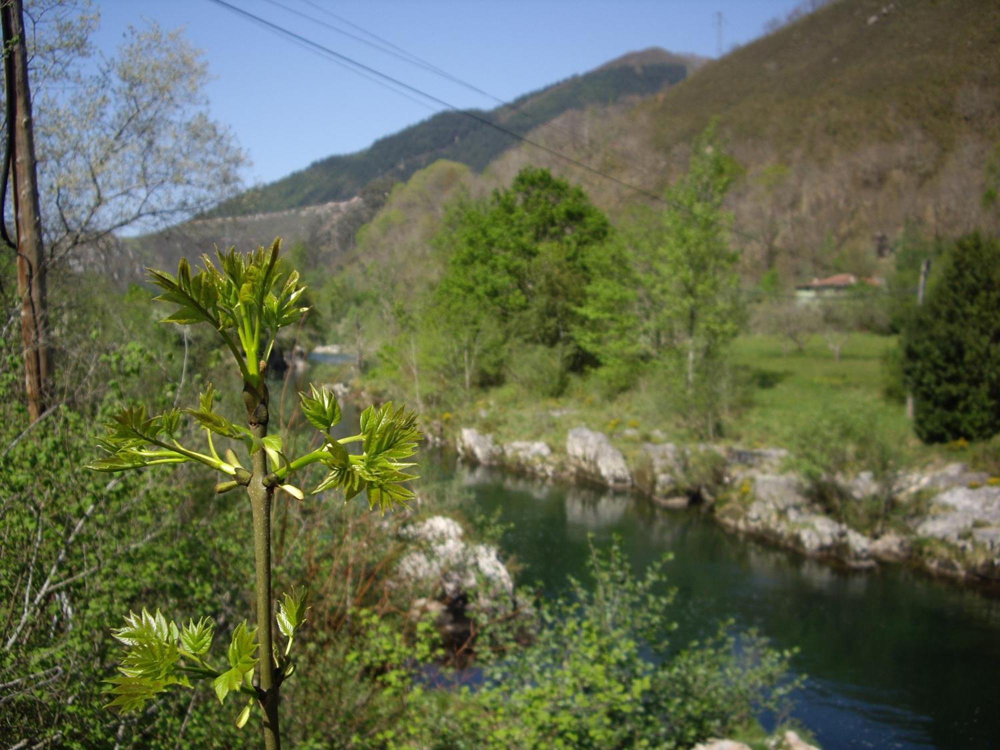 Casa Rural El Canton Cangas de Onis Exterior photo